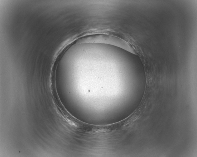 X0000064040340200602101430