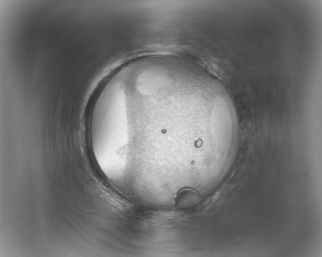 X0000064040342200602101430