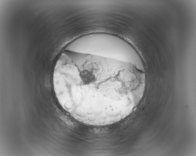 X0000064040345200602101430