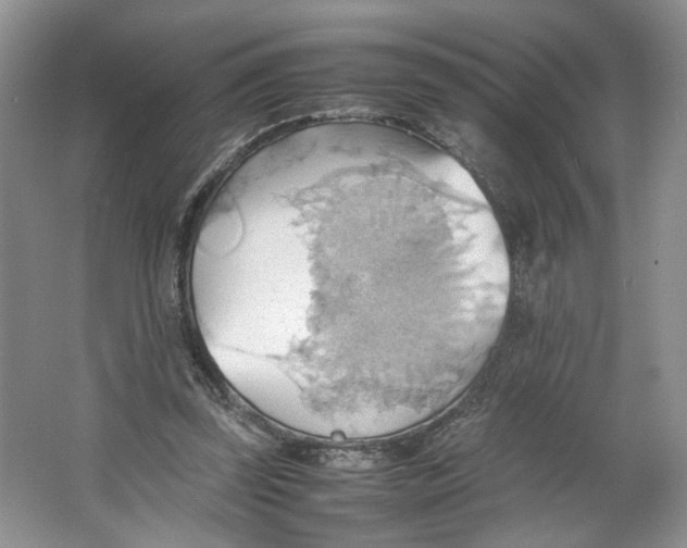 X0000064040347200602101430