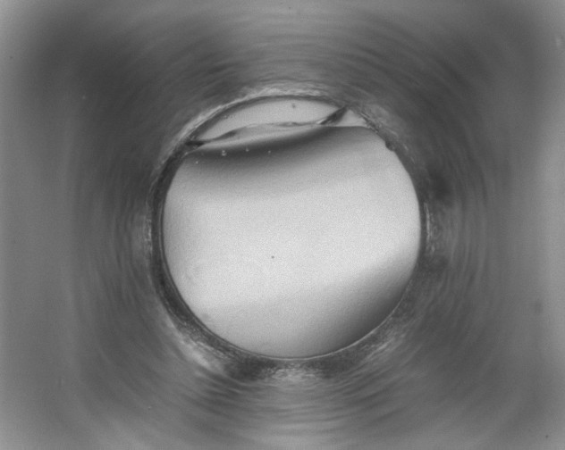 X0000064040348200602101430