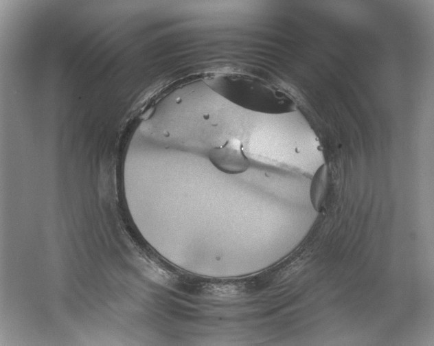 X0000064040349200602101430