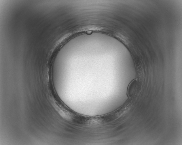 X0000064040350200602101430