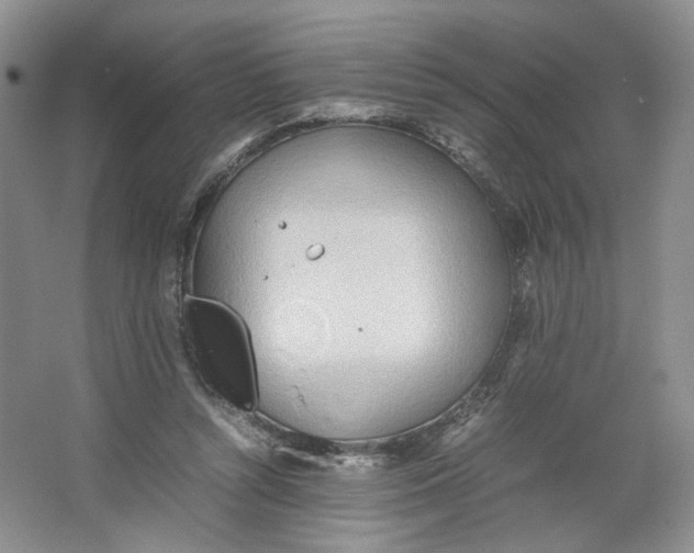 X0000064040352200602101430