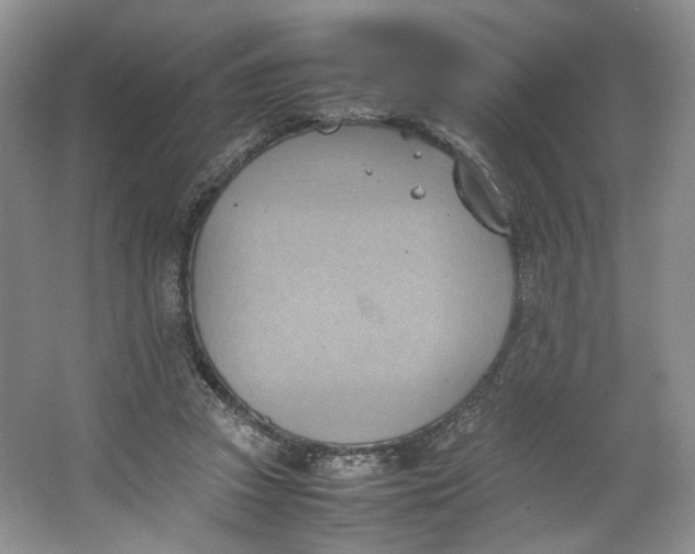 X0000064040353200602101430