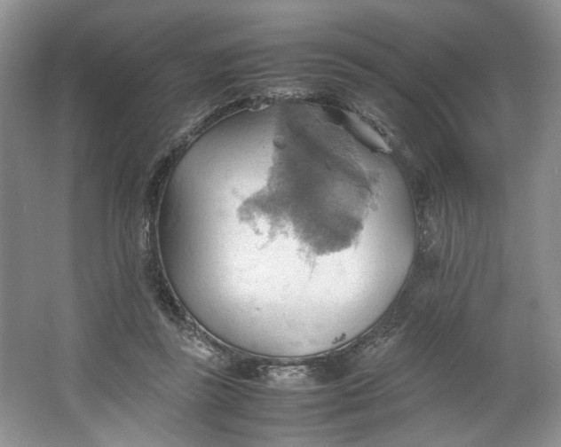 X0000064040355200602101430