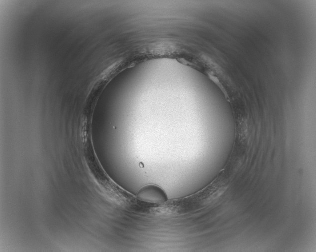 X0000064040356200602101430