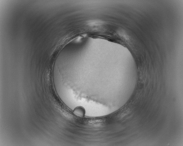 X0000064040357200602101430