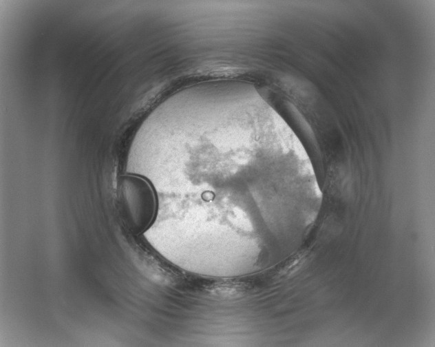 X0000064040358200602101430