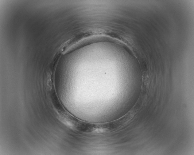 X0000064040360200602101430