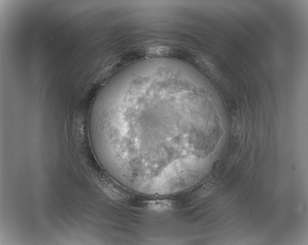 X0000064040363200602101431