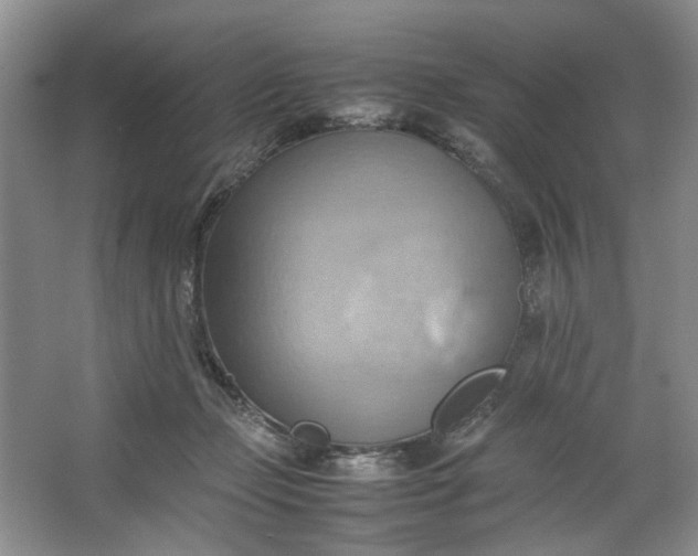 X0000064040365200602101431