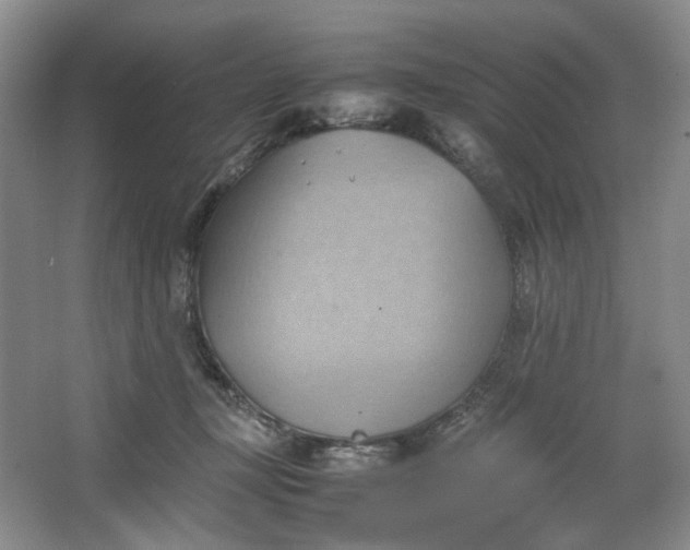 X0000064040367200602101431