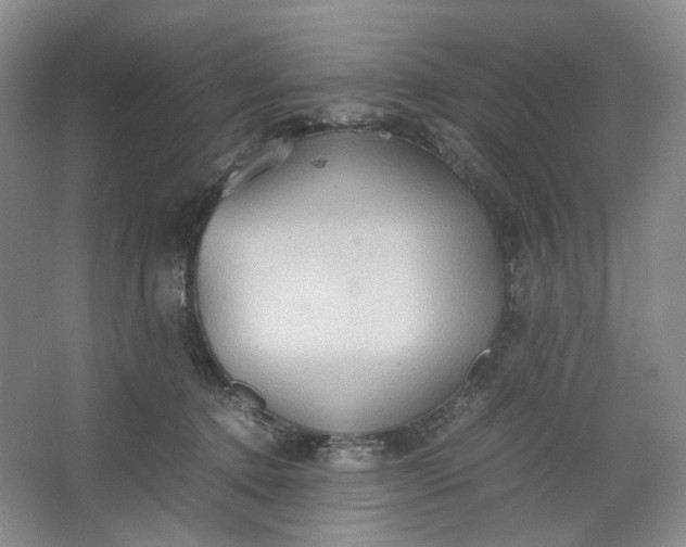 X0000064040368200602101431