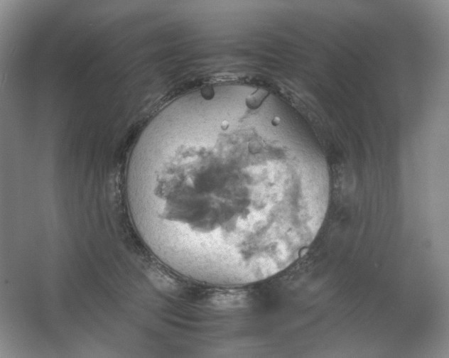 X0000064040369200602101431