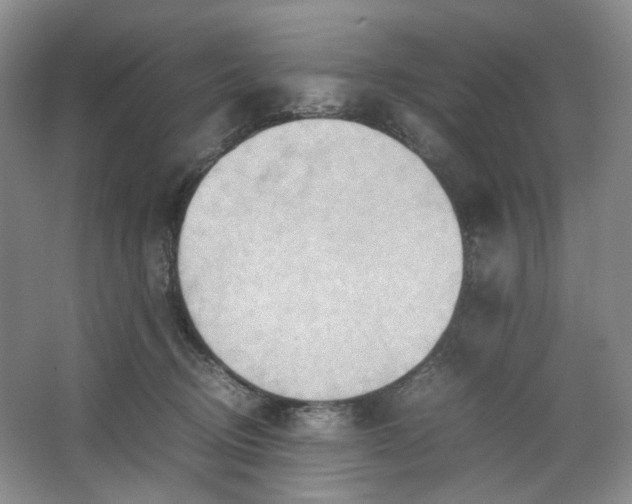 X0000064040370200602101431