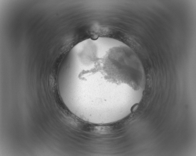 X0000064040371200602101431