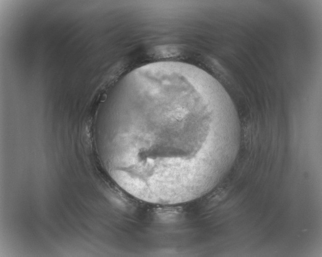 X0000064040373200602101431