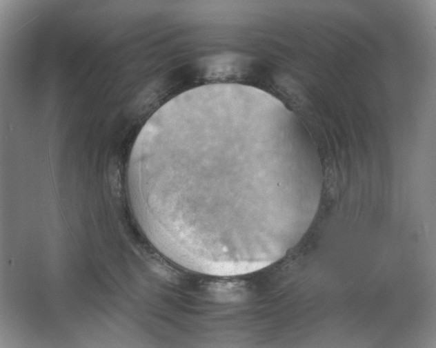 X0000064040375200602101431