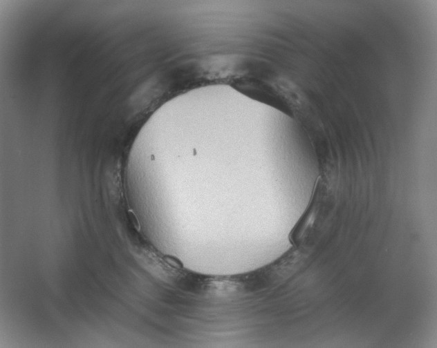 X0000064040376200602101431