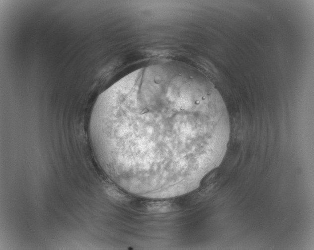 X0000064040377200602101431