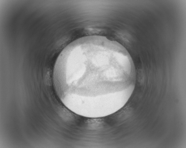 X0000064040378200602101431