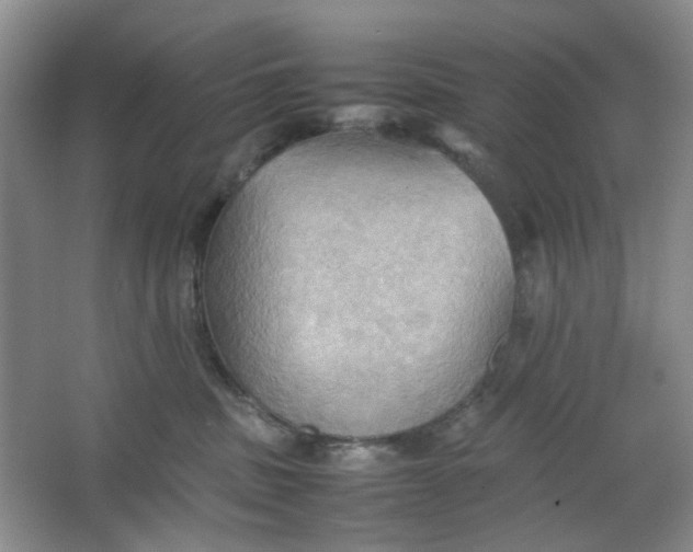 X0000064040379200602101431