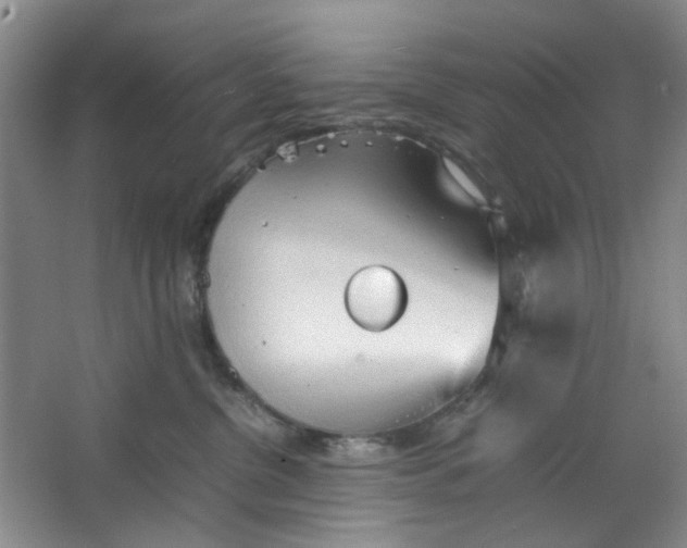 X0000064040380200602101431