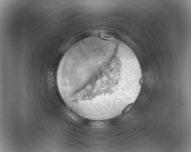 X0000064040381200602101431