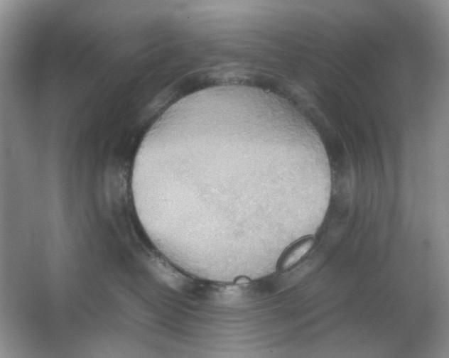 X0000064040382200602101431