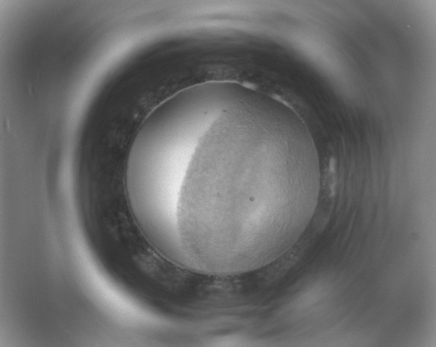 X0000064040383200602101431