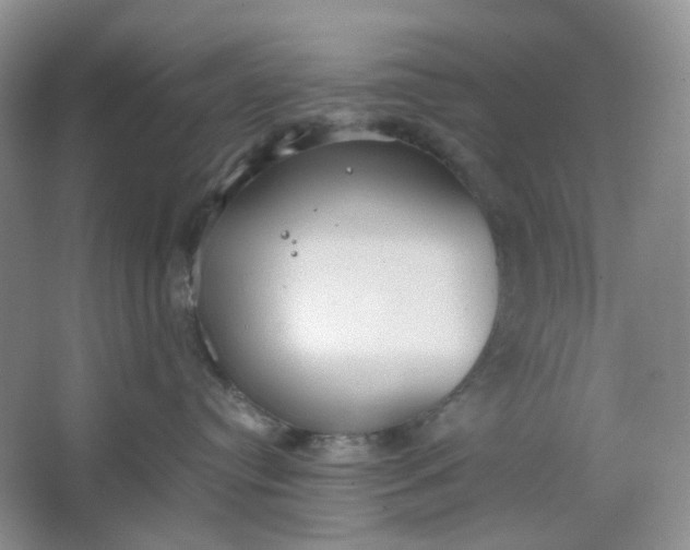 X0000064040384200602101431