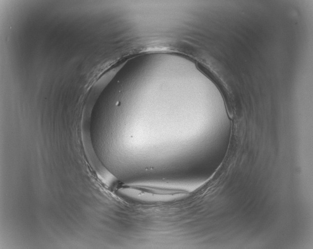 X0000064040385200602101430