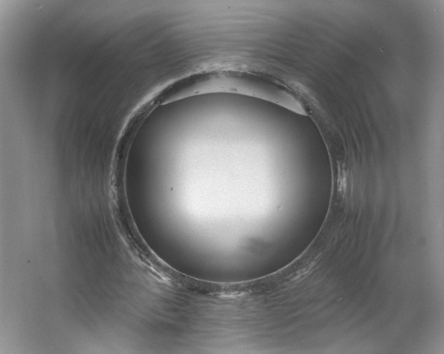 X0000064040388200602101430