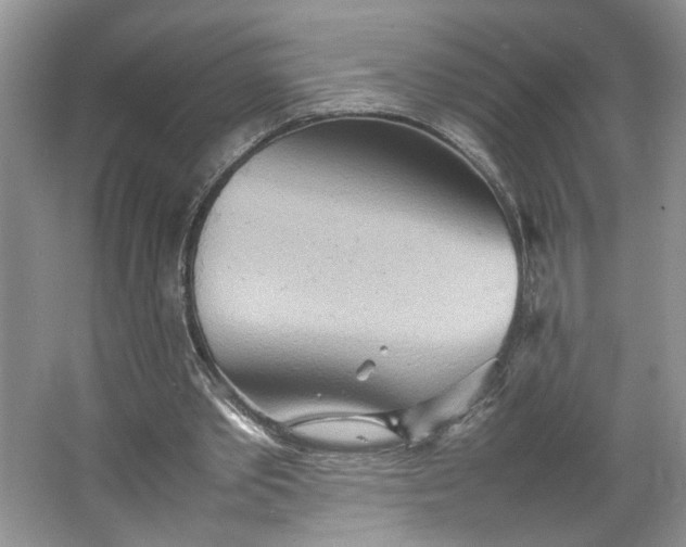 X0000064040389200602101430