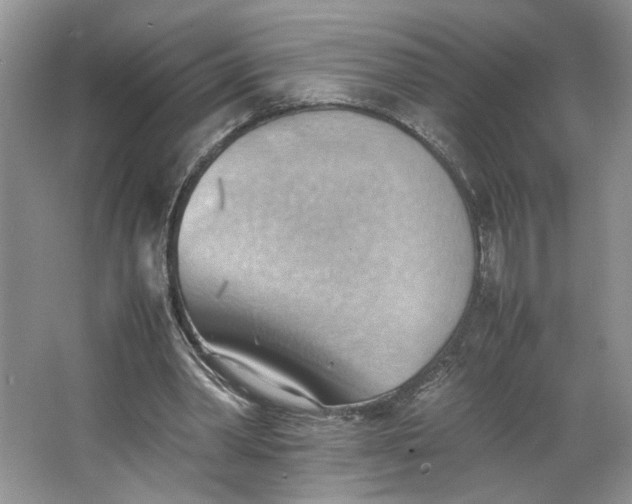 X0000064040390200602101430