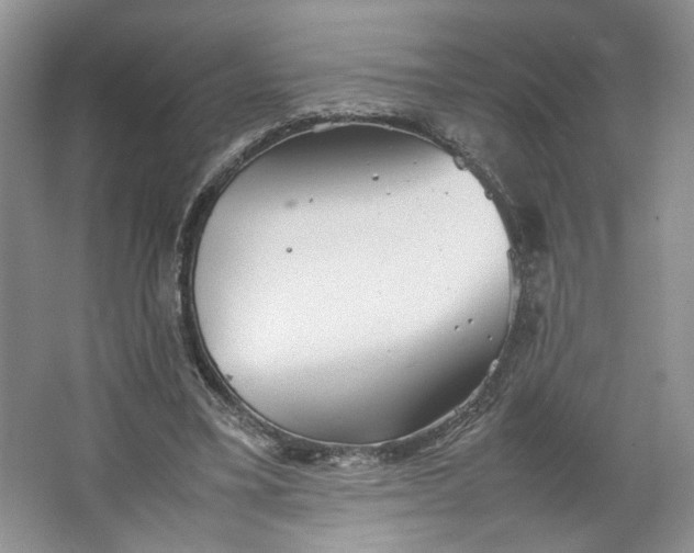 X0000064040395200602101430