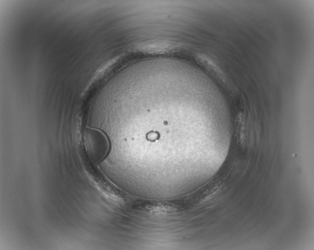 X0000064040400200602101430