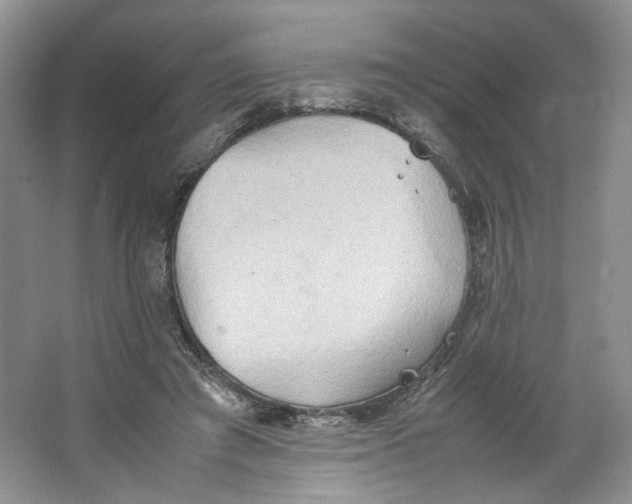 X0000064040401200602101430