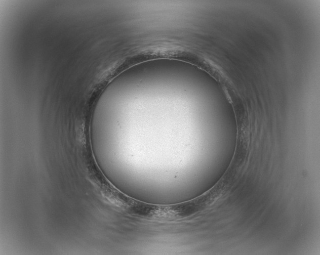 X0000064040403200602101430