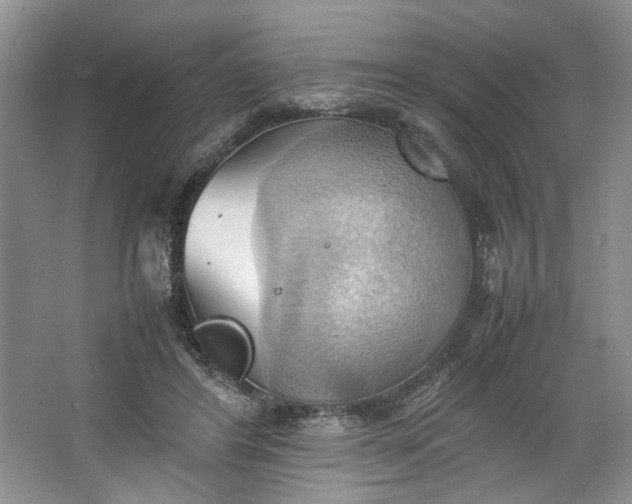 X0000064040404200602101430