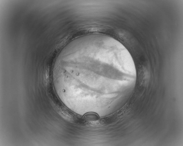 X0000064040406200602101430