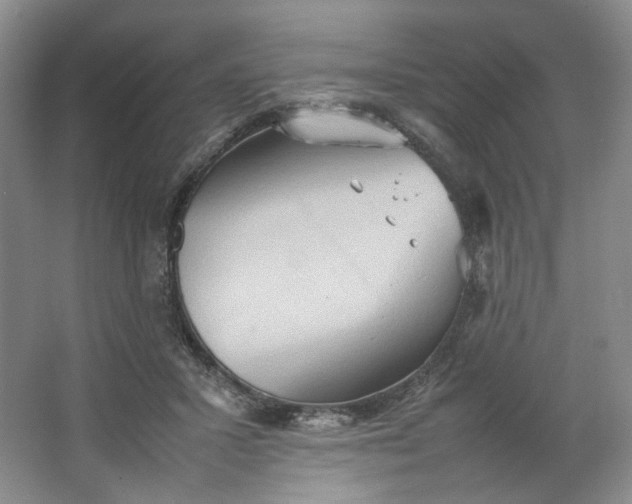 X0000064040407200602101430