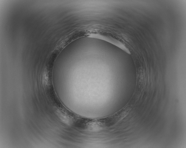 X0000064040408200602101430