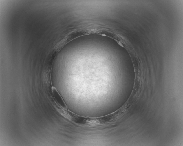 X0000064040409200602101430