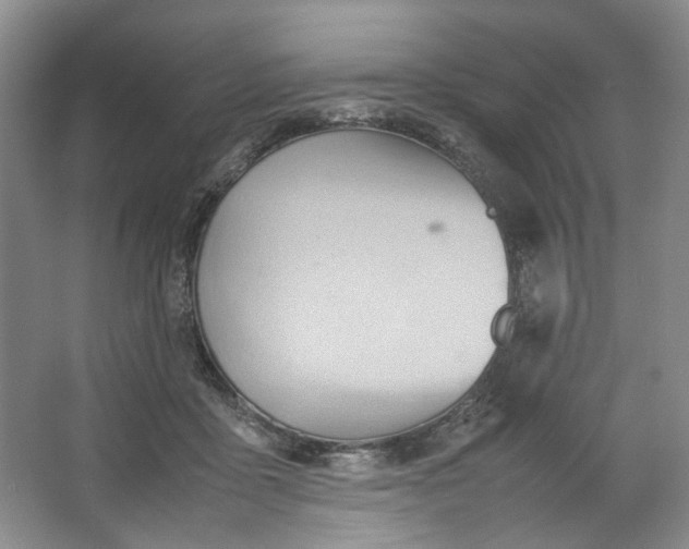 X0000064040411200602101430