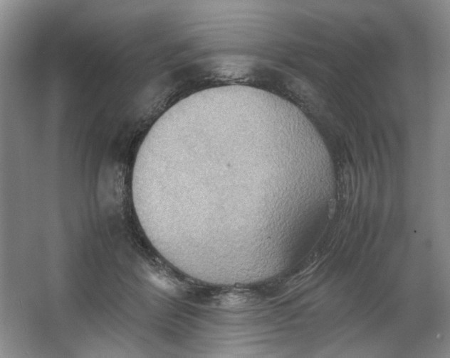 X0000064040412200602101430