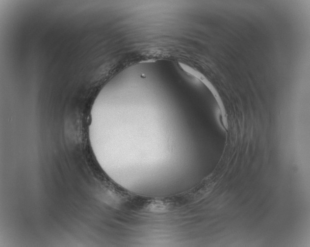 X0000064040416200602101430