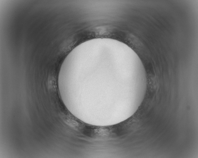 X0000064040419200602101429