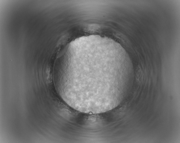 X0000064040420200602101429